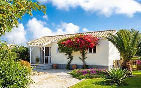 Casita Lulu